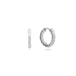 Load image into Gallery viewer, Eternelle Hoops Earrings