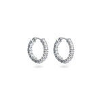 Load image into Gallery viewer, Eternelle Hoops Earrings