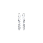 Load image into Gallery viewer, Eternelle Hoops Earrings
